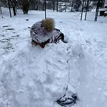 Dom Supelek ドゥシュニキ・ズドルイ