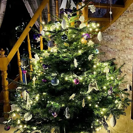 Dom Supelek ドゥシュニキ・ズドルイ