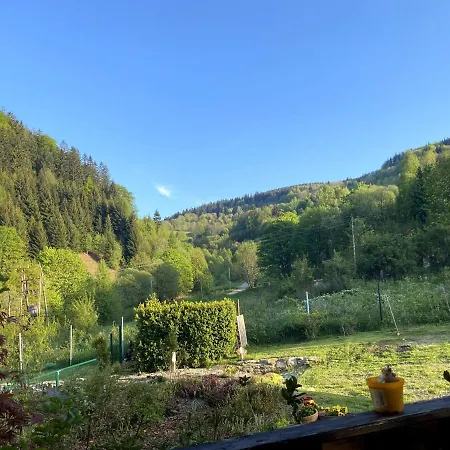 Panzió Dom Supelek 3*