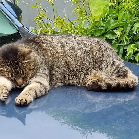 Dom Supelek 3* Duszniki Zdrój