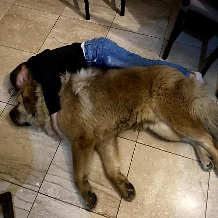 ベッド・アンド・ブレックファスト Dom Supelek ドゥシュニキ・ズドルイ