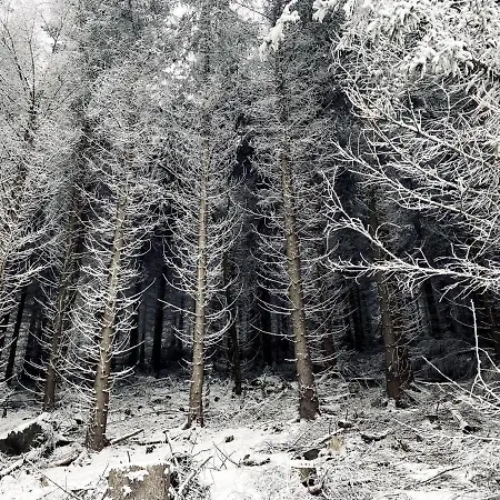 Dom Supelek Panzió 3*