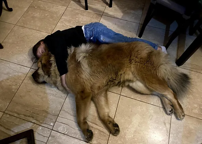 B&B Dom Supelek 두슈니키 즈드로지