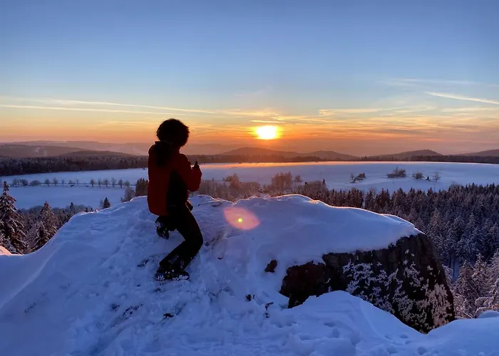 Dom Supelek 3* 두슈니키 즈드로지